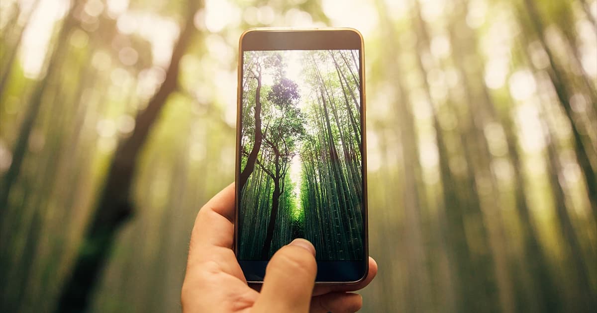 Impacto de las tarifas móviles en el medio ambiente